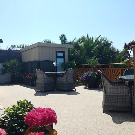 Meadow View Apartments New Quay Dış mekan fotoğraf